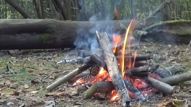 Руна ЭЙВАЗ. Суть, Значение и Понимание. смотреть онлайн