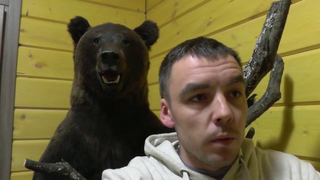 Обзор медведя смотреть онлайн