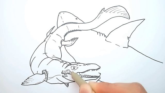 How to Draw Mosasaurus vs Megalodon | Drawing and Coloring смотреть онлайн