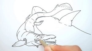How to Draw Mosasaurus vs Megalodon | Drawing and Coloring
