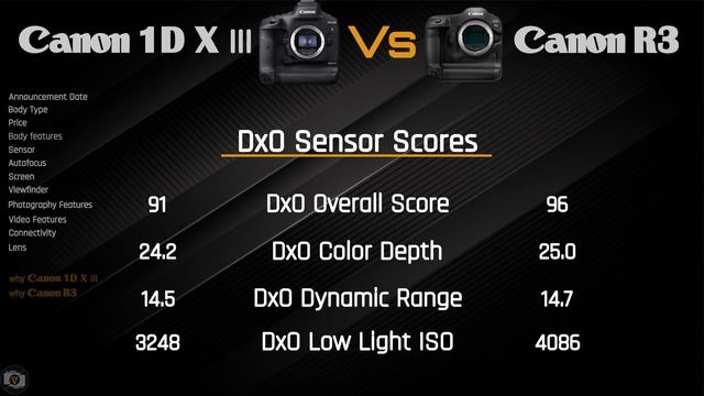 Camera Comparison : Canon 1D X Mark III vs Canon R3 смотреть онлайн