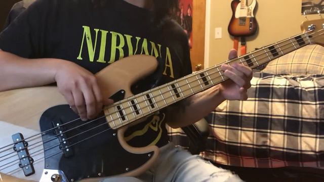 You Know I'm No Good - Bass Cover смотреть онлайн