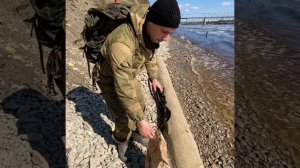 Поиск Трилобитов на реке Волхов , Ленинградская область.