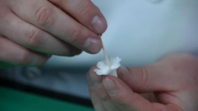 Primrose Flower смотреть онлайн