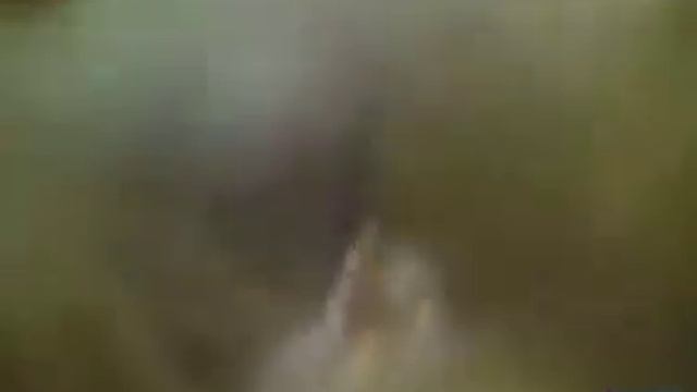 северный глупыш смотреть онлайн