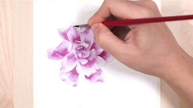 Painting A Gardenia In Watercolor  / 수채화로 가드니아 그리기 - PHILKIM