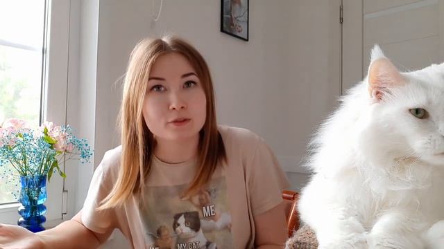 Лучшие корма для кошек. Чем кормить кота мейн-куна. Холистики? смотреть онлайн