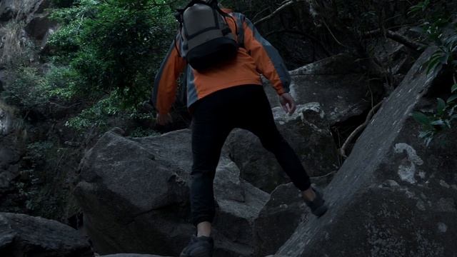 TaoTronics SoundLiberty 79, TWS Headphones Smart AI Noise Reduction Technology смотреть онлайн