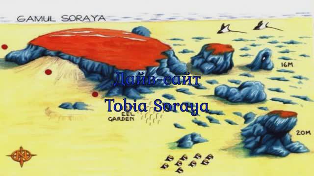 Дайв-сайт Tobia Soraya. Сафага, Египет