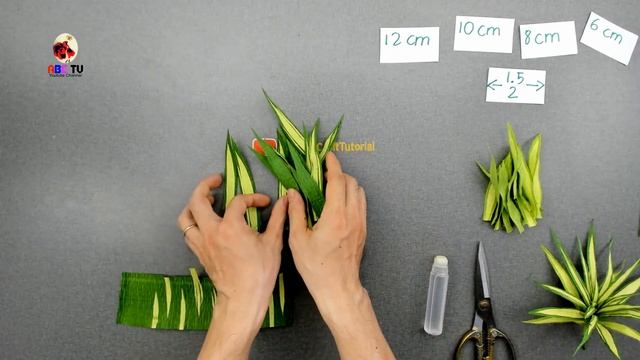 ABC TV | How To Make Pandanus Amaryllifolius From Crepe Paper - Craft Tutorial смотреть онлайн