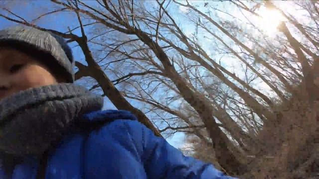 Мини-сталк с сыном к мосту через Днепр, Самая длинная дамба в Украине, домики рыбаков смотреть онлайн