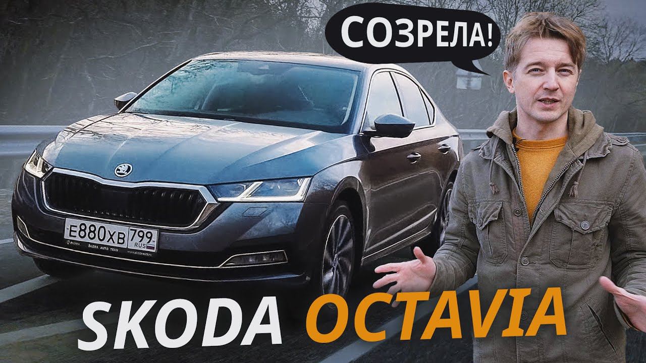 Она вам больше не бюджетник! Skoda Octavia A8 | Наши тесты смотреть онлайн