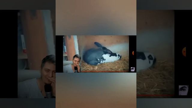 Смешная нарезка моментов #1 Ростян смотреть онлайн