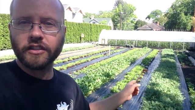 IN PRACTICE: Sacrificial Harvesting смотреть онлайн