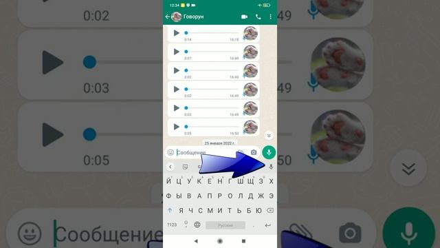Голосовые сообщения текстом в WhatsApp Как отправить текстовое сообщение голосом Набрать текст голо смотреть онлайн