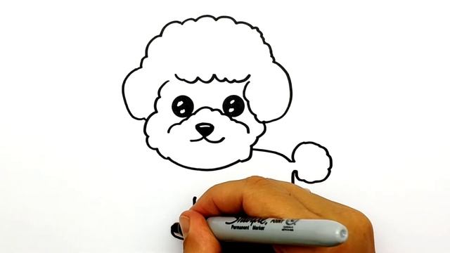 Как нарисовать Щенка Пуделя. Рисуем милого пуделя простым способом. Простые рисунки для срисовки#65 смотреть онлайн