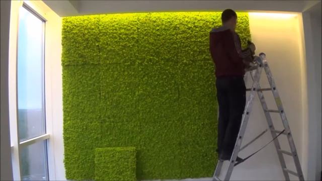 Дизайн квартиры стабилизированным мхом смотреть онлайн
