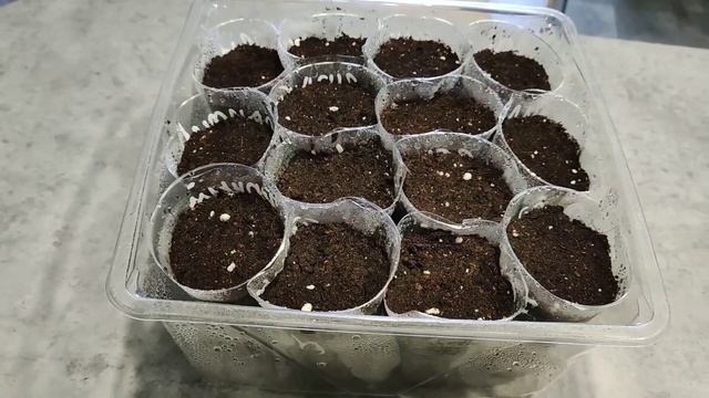 25 сортов сладкого перца для сезона -2023. смотреть онлайн