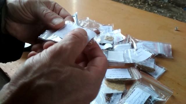 Получил посылку с семенами бесплатно из группы Семена в дар общее дело смотреть онлайн