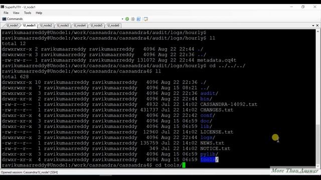 Cassandra4.0 New Feature Audit logging смотреть онлайн
