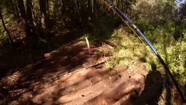 Ловля щуки на крупные воблеры в День знаний смотреть онлайн