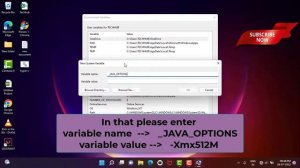Fix java Virtual Machine Launcher Error  could not create the Java VIrtual machine on windows 10 11
