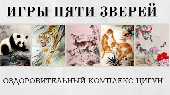 Оздоровительный цигун - Игры пяти зверей смотреть онлайн