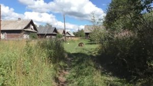 Затерянная деревня в лесу. Нежилая деревня на севере области. Кто-то живет в деревне