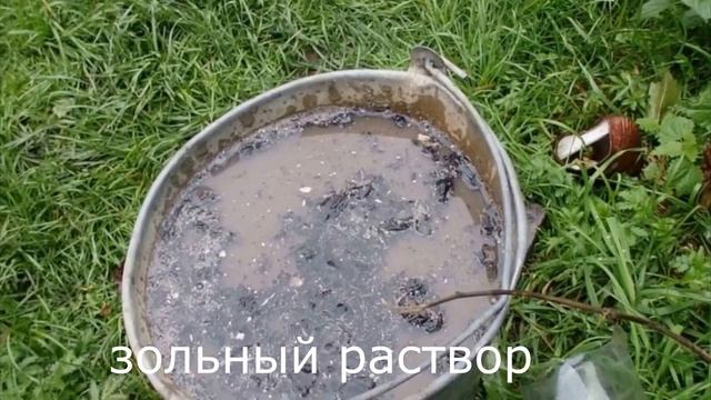 ТОП-5 ПОЧВОПОКРОВНЫХ РАСТЕНИЙ--в моем саду. смотреть онлайн