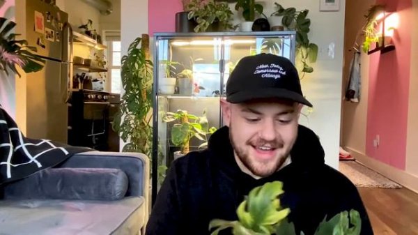 PlantTalk - A Quick Plant Unboxing! I almost cried lol