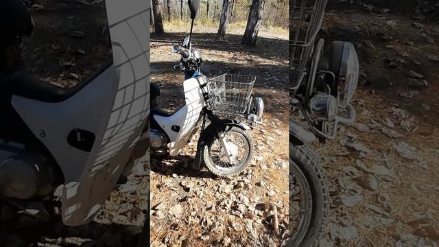 honda super cub 110 pro ja10 после полгода использования. смотреть онлайн