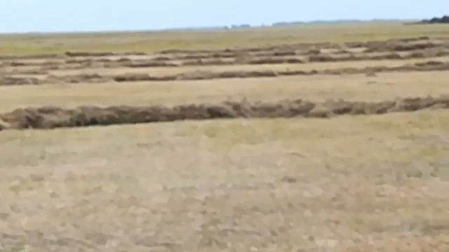 гребем поперечными граблями смотреть онлайн