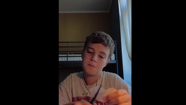 Делаю Домера