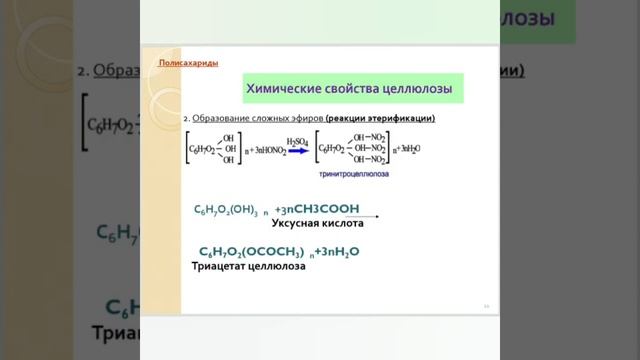 Видеоурок Целлюлоза смотреть онлайн
