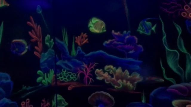 Сенсорная комната (Sensory Room)