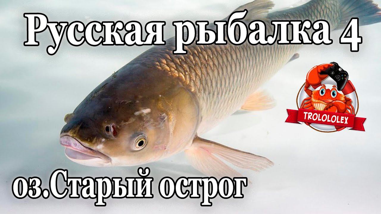 Русская рыбалка 4 Амур белый оз Старый острог Точка которую все и так знают смотреть онлайн