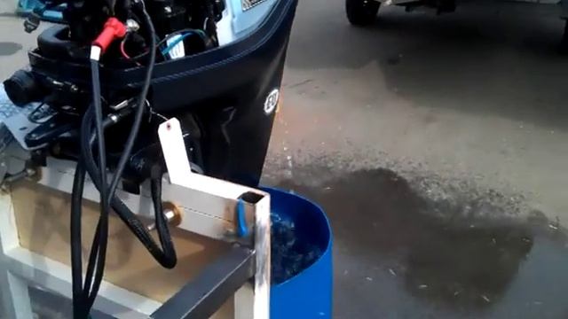 Первый запуск мотора Evinrude E tec 30 смотреть онлайн
