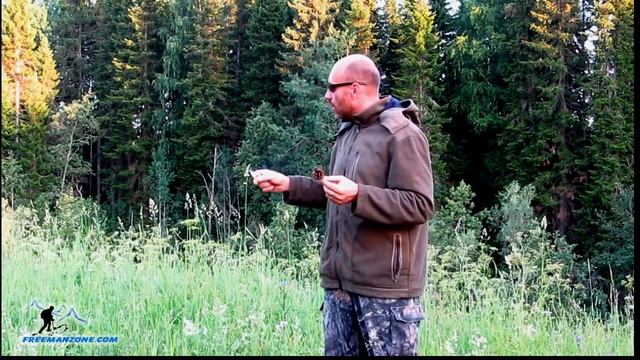 КАК БОРОТЬСЯ С КОМАРАМИ, МОШКОЙ И ДРУГИМ ГНУСОМ В ТАЙГЕ. смотреть онлайн