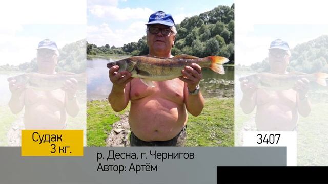 Фотоальбом - Рыбалка №681 смотреть онлайн