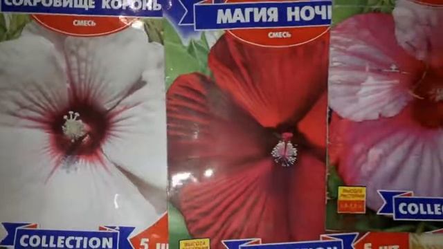 Обзор семян цветов 2019. Пора! смотреть онлайн