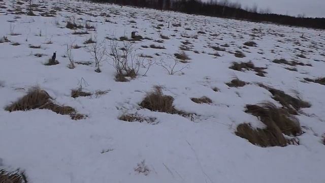 ТЕСТ-ДРАЙВ САМОДЕЛЬНОГО ВЕЗДЕХОДА "ОНДАТРА" / ЗИМНИЕ ПОКАТУШКИ смотреть онлайн