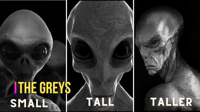 Top 10 Alien Races | Interesting Facts About Various Alien Races смотреть онлайн