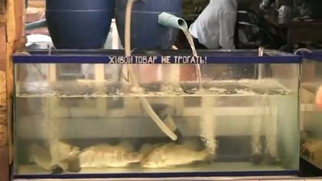 WALKING STREET ВОЛКИНГ-СТРИТ, Патайя, Таиланд смотреть онлайн