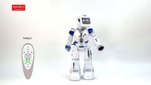 Робот интерактивный Эпсилон-Ти, эмоции на мониторе - ZYA-A2738