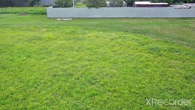 Владимирово смотреть онлайн