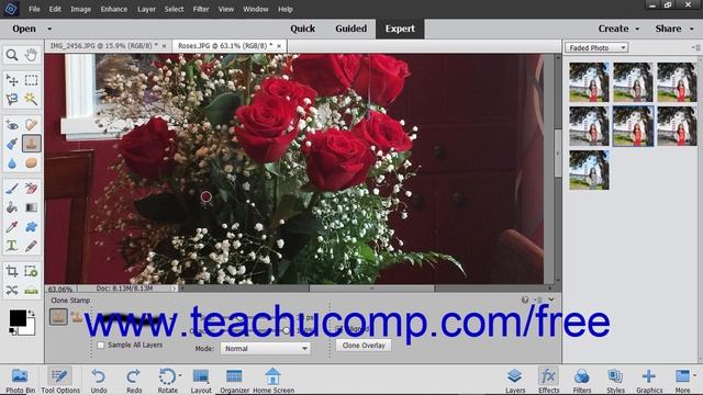 Photoshop Elements 2019 Tutorial The Clone Stamp Tool Adobe Training смотреть онлайн