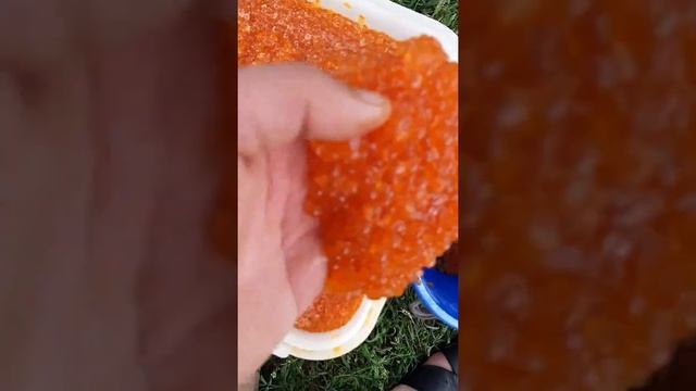 Самая дорогая рыбалка в моей жизни))) смотреть онлайн