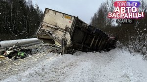 Зимние Будни Торопыг и Водятлов!