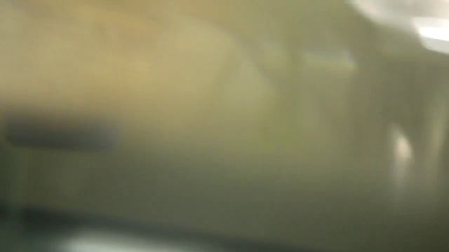 My Red Eared Slider Eating Like a Beast смотреть онлайн