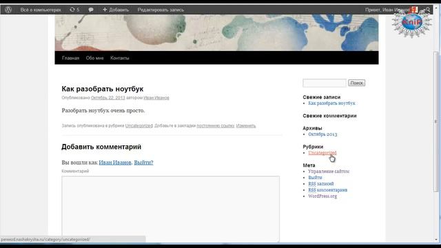 Страницы и записи Wordpress